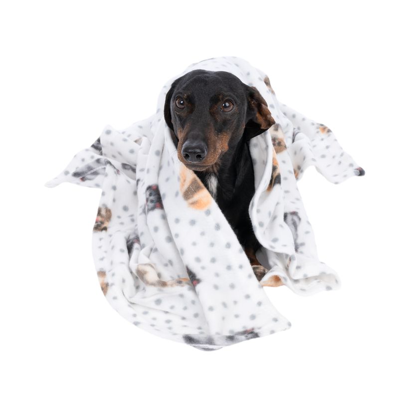 zooplus Basics Dogs & Dots Fleece Cuddle Blanket 100 x 70 cm (L x W)