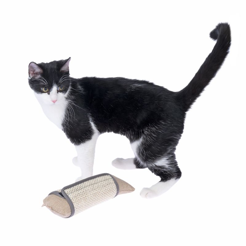 Modern Living Drapia Sisal Play Cushion diameter 7.5 x (H) 25 cm