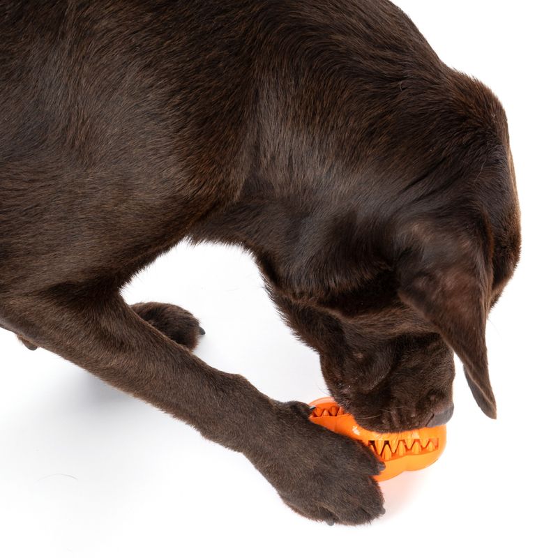 TIAKI Rugby Treat Dog Toy 10.5 x 7.5cm (L x Diameter)