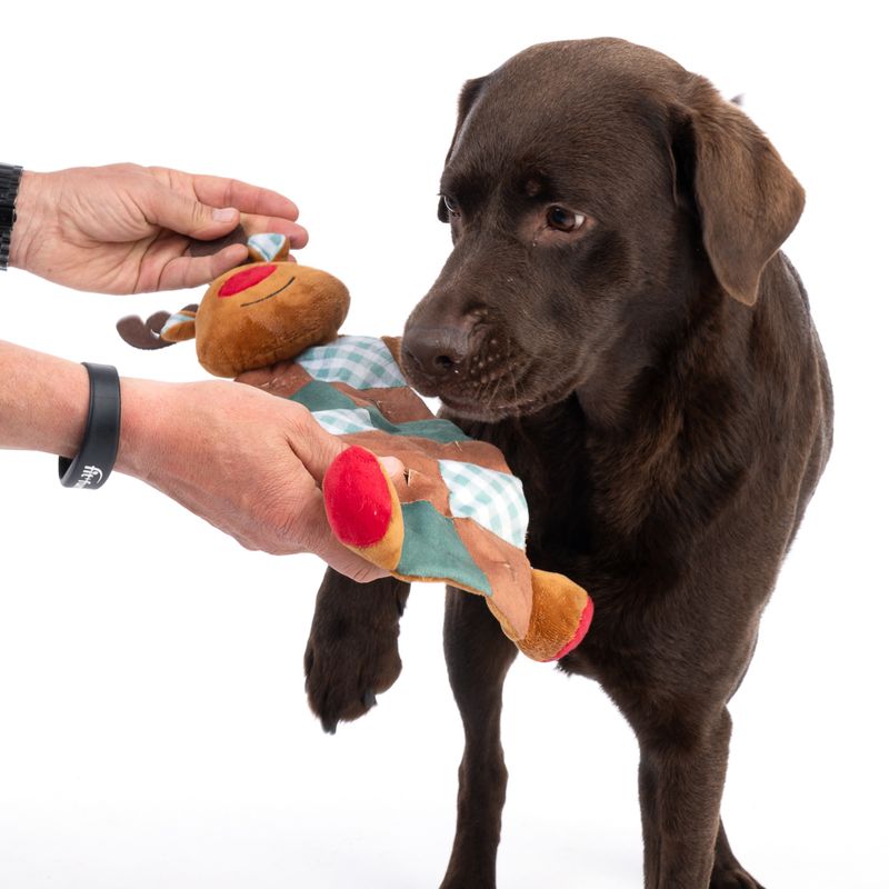 TIAKI Reindeer Snack Dog Toy 1 Toy