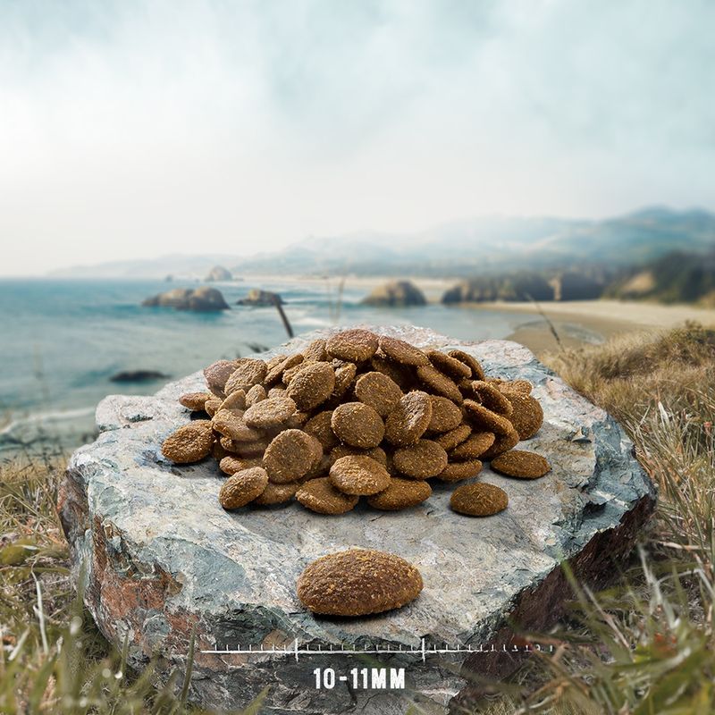 Purizon Puppy Black Angus with Turkey 1kg