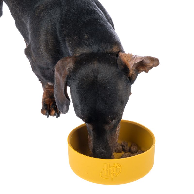 Warner Bros™ Harry Potter Silicone Bowl 580ml, diameter 14cm