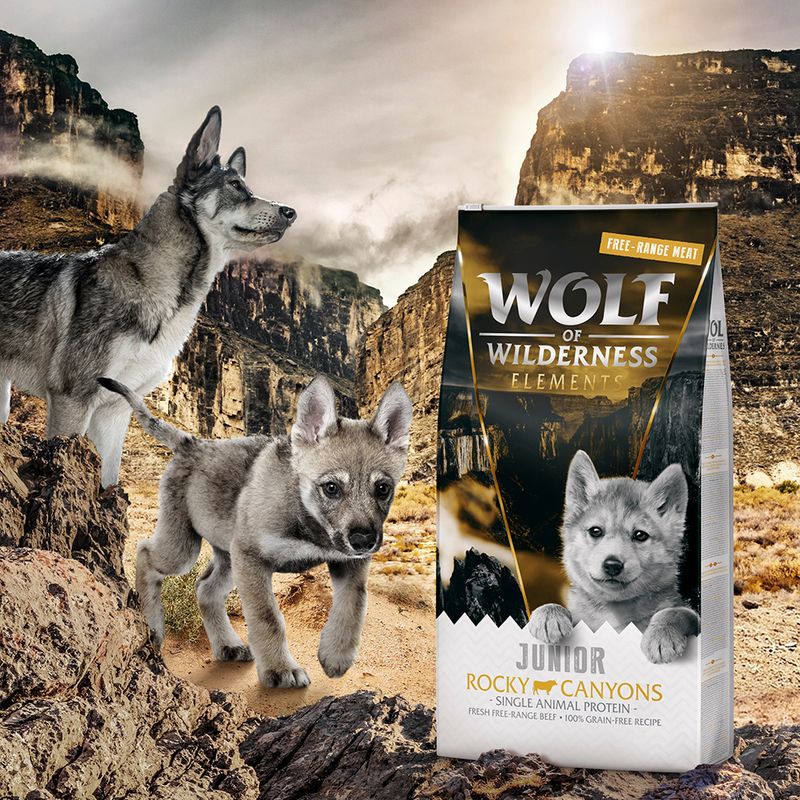 Wolf of Wilderness Junior \