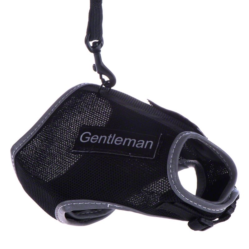 Trixie XCat XL Harness with Lead and Exclusive Stickers Black