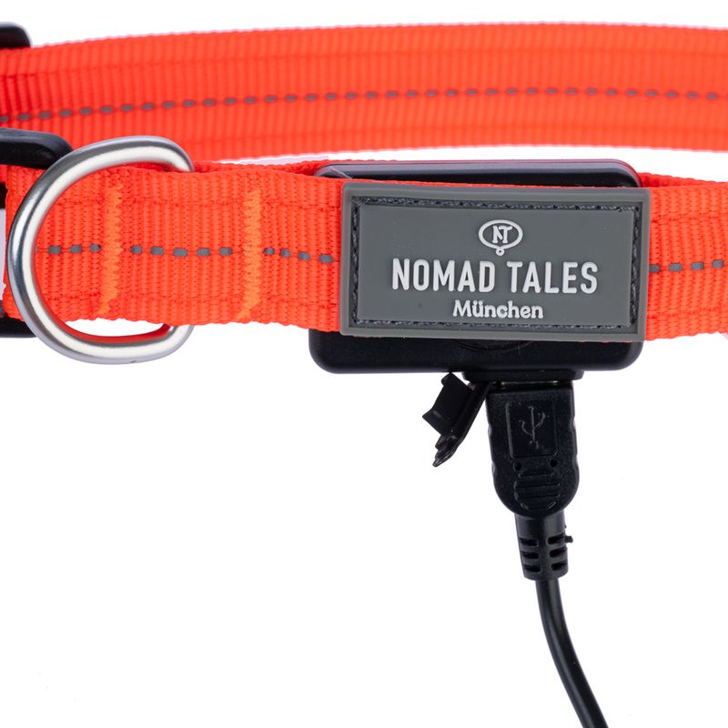 Nomad Tales Spirit USB LED Nylon Collar - Orange Size S: Neck circumference 34-41cm