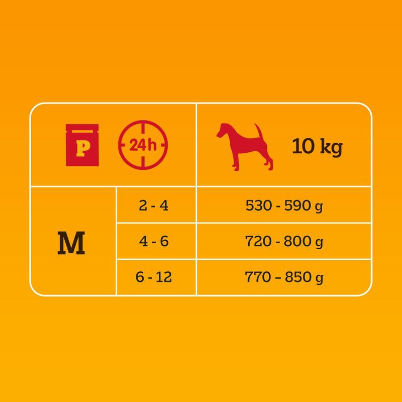 Pedigree Junior Pouch in Jelly Mixed Selection: 4 Varieties (12 x 100g)