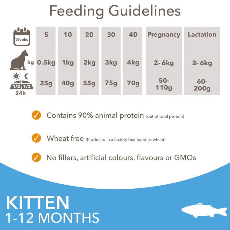 IAMS Advanced Nutrition Kitten with Ocean Fish 10kg
