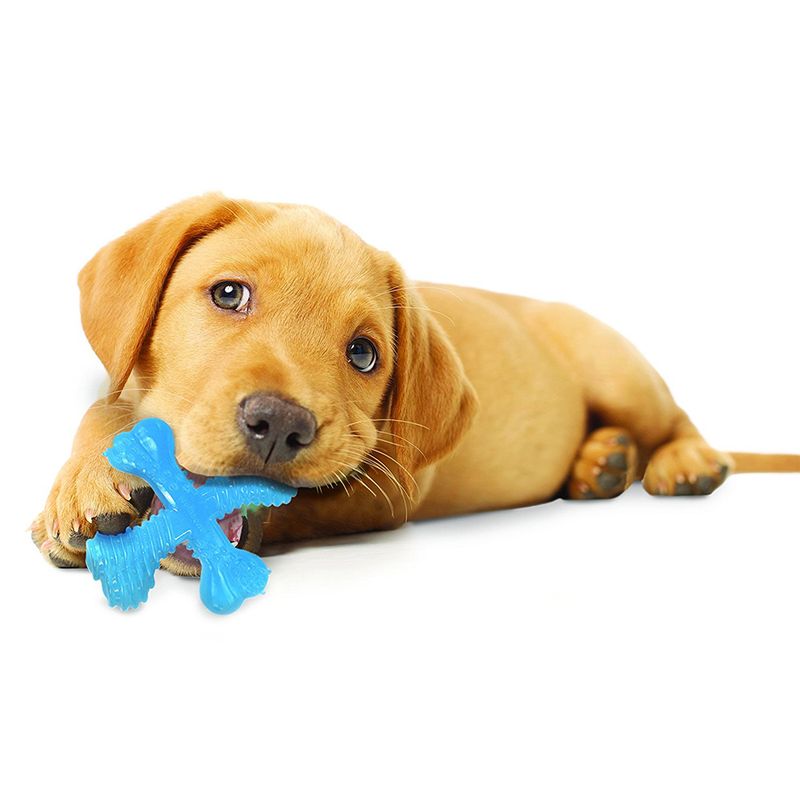 Nylabone Puppy X Bone Chew Toy 9 x 9 x 3.5cm (L x W x H)