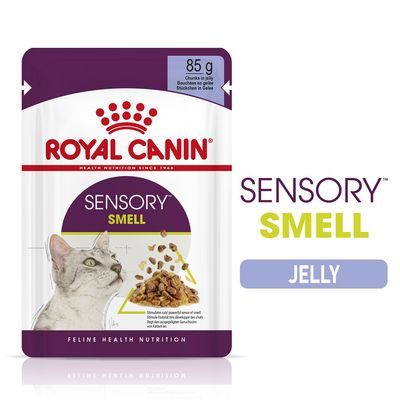 Royal Canin Sensory Smell in Jelly 12 x 85g