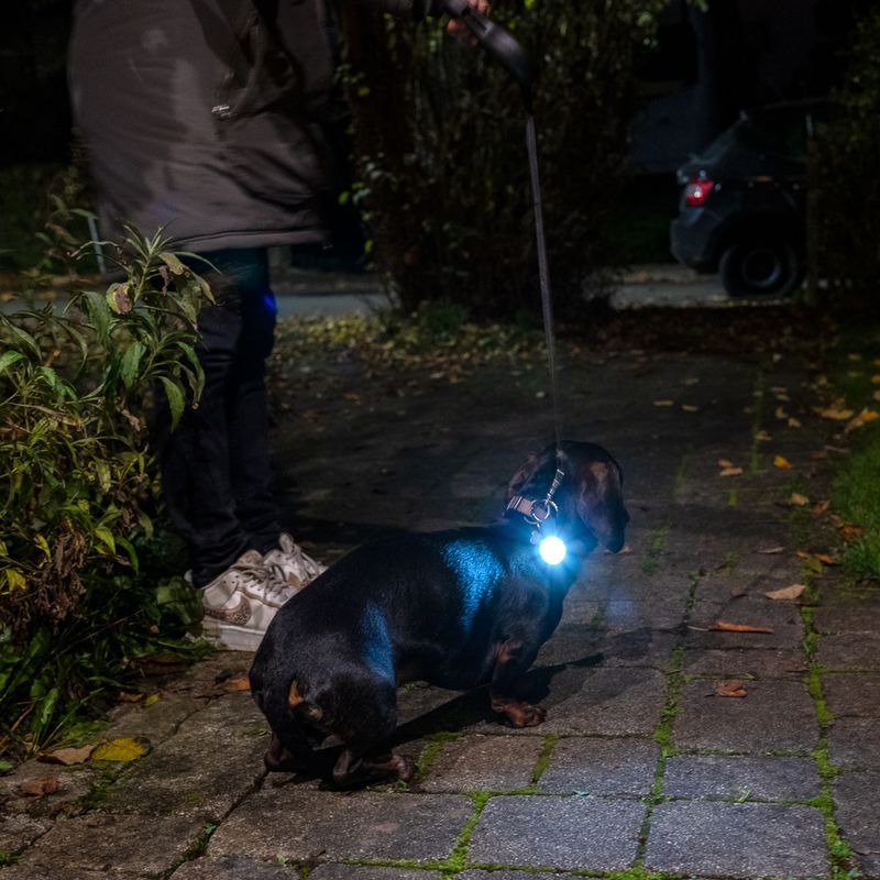 Nomad Tales Bloom USB light pendant High Light blue