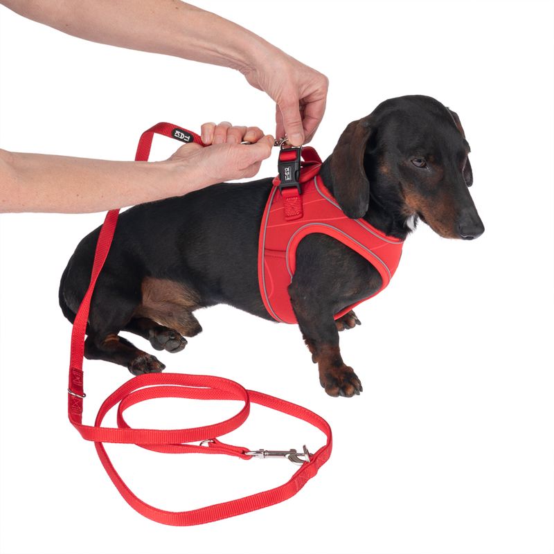 TIAKI Harness Wave Vest - Red Size XS: 36cm chest circumference