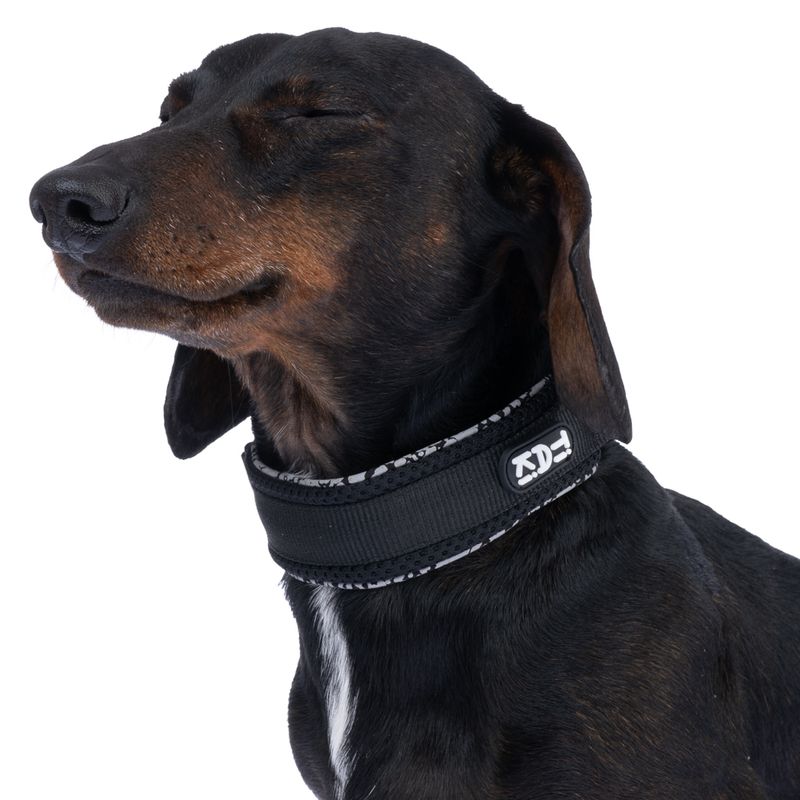 TIAKI Reflective Collar Size S: 25 - 35 cm Neck Circumference, 20mm Width