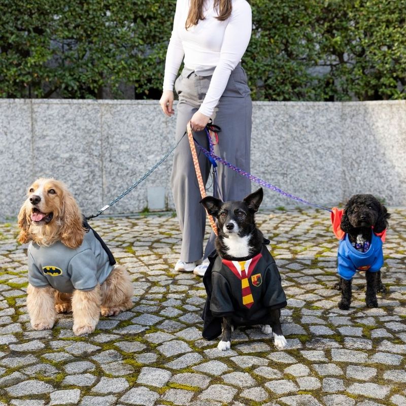 Warner Bros™ DC Superman Dog Costume Size S/M: 35cm Back Length