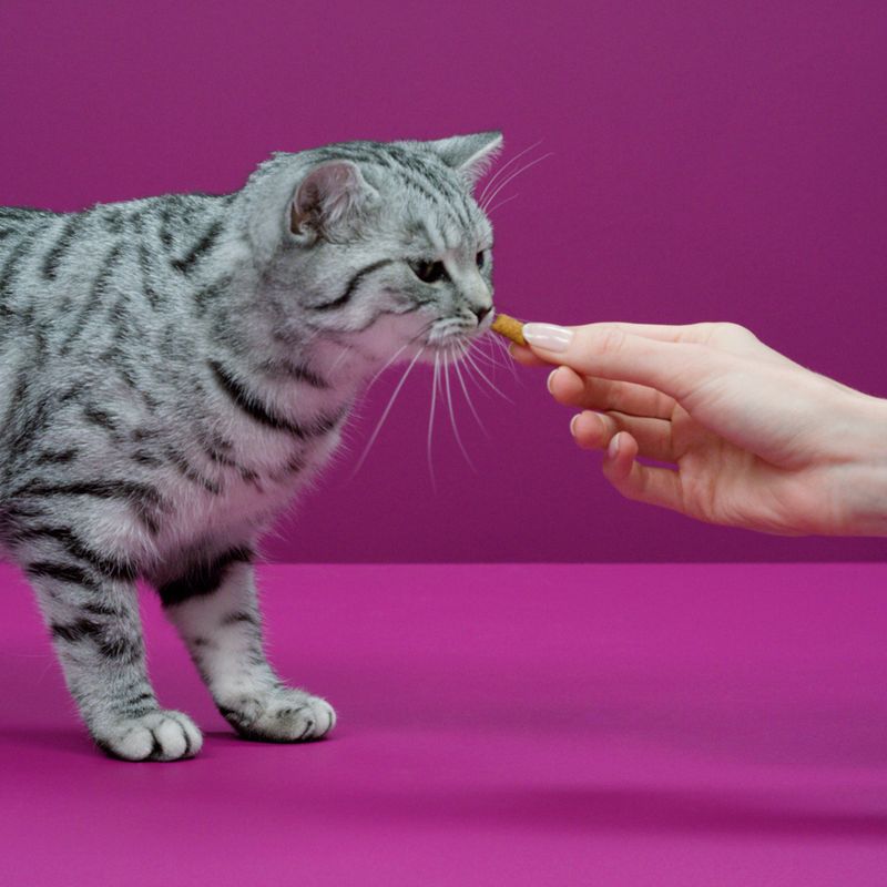 Whiskas Crunchy Pockets Turkey (60g)