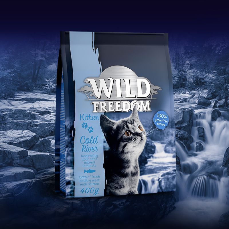 Wild Freedom Kitten \