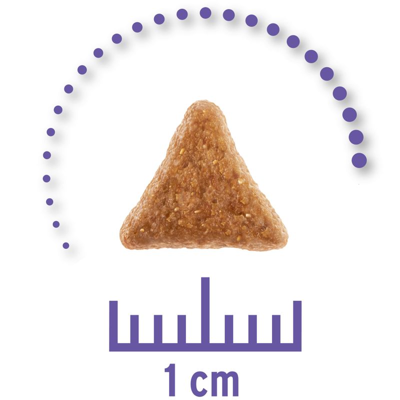 Concept for Life Veterinary Diet Economy Pack 2 x 10kg Hypoallergenic Insect (2 x 10kg)