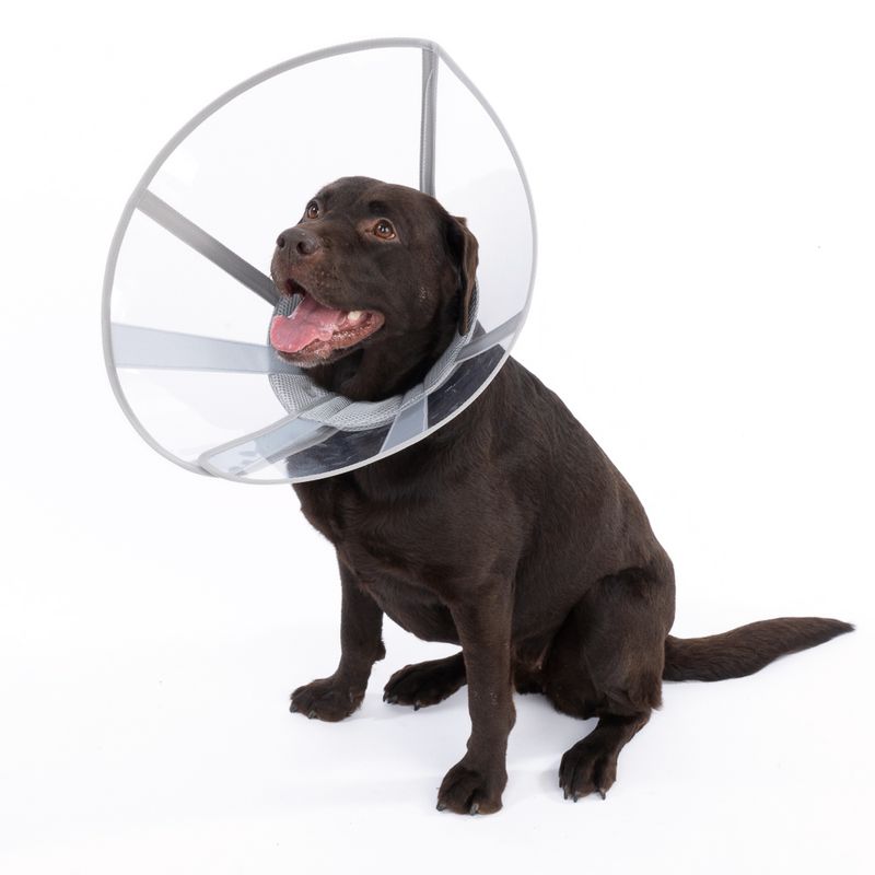 kooa Premium Protective Collar for Pets Size XS: 20 - 30 cm Neck Circumference