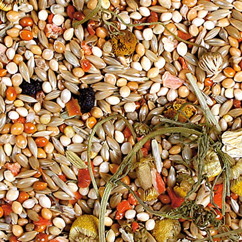 JR Farm Individual Budgie Food 1kg