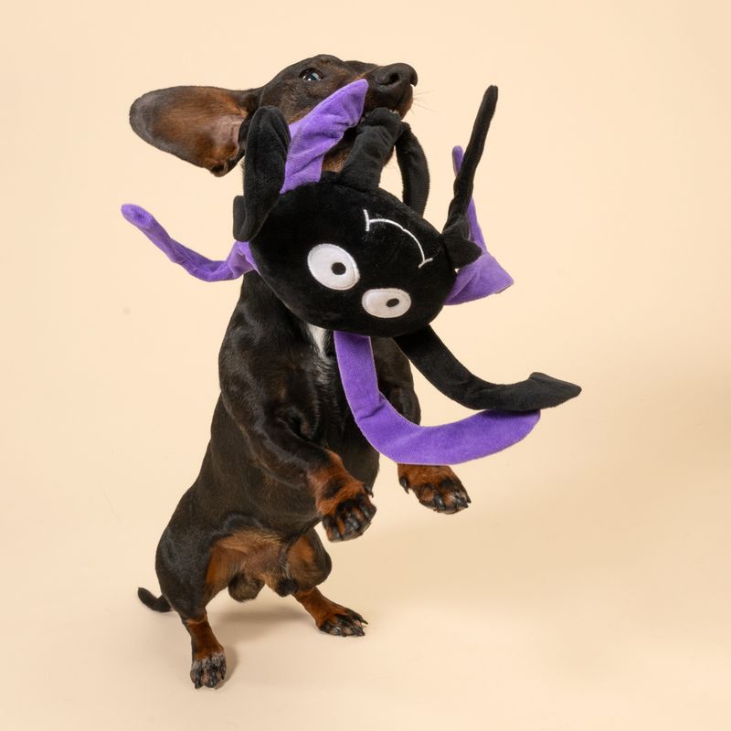 TIAKI Spider Dog Toy approx. 35 x 26 x 7 cm (L x W x H)