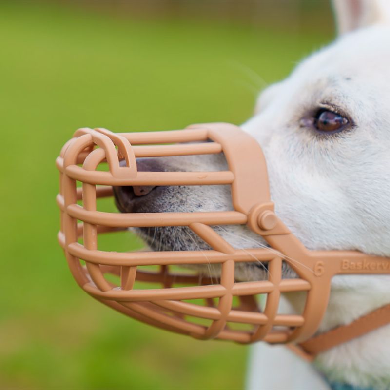 Baskerville Classic Muzzle — Beige Size 5