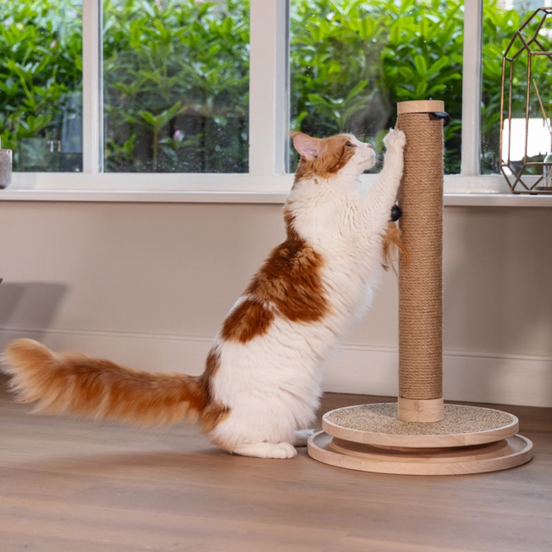 Designed by Lotte Zavi Wooden Scratching Post brown