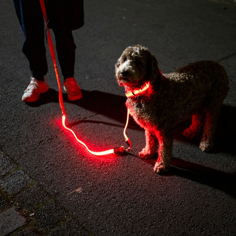 Nomad Tales Spirit USB LED Orange Jogging Lead 180 - 250cm x 25mm (L x W)