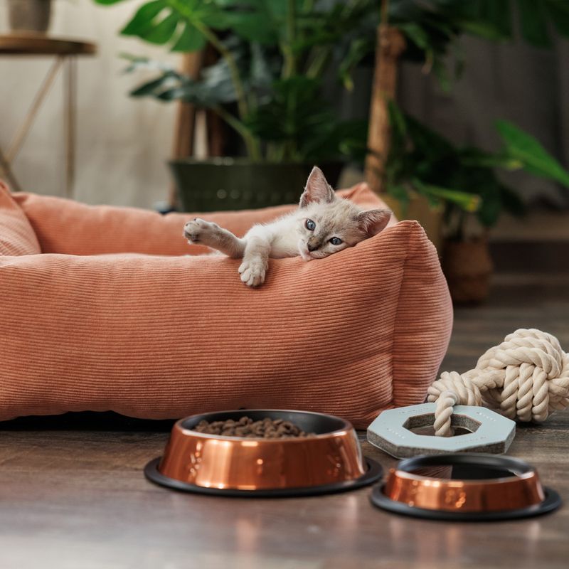 Modern Living Maipu Food Bowl 200ml (15.5cm diameter)