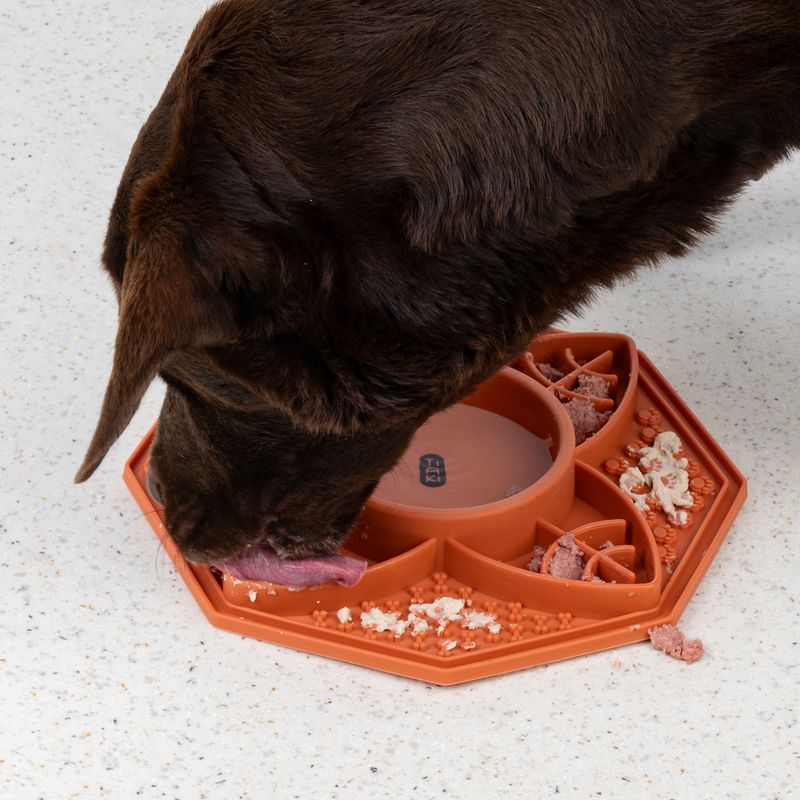 TIAKI Silicone Mandala Slow Feeder 200ml