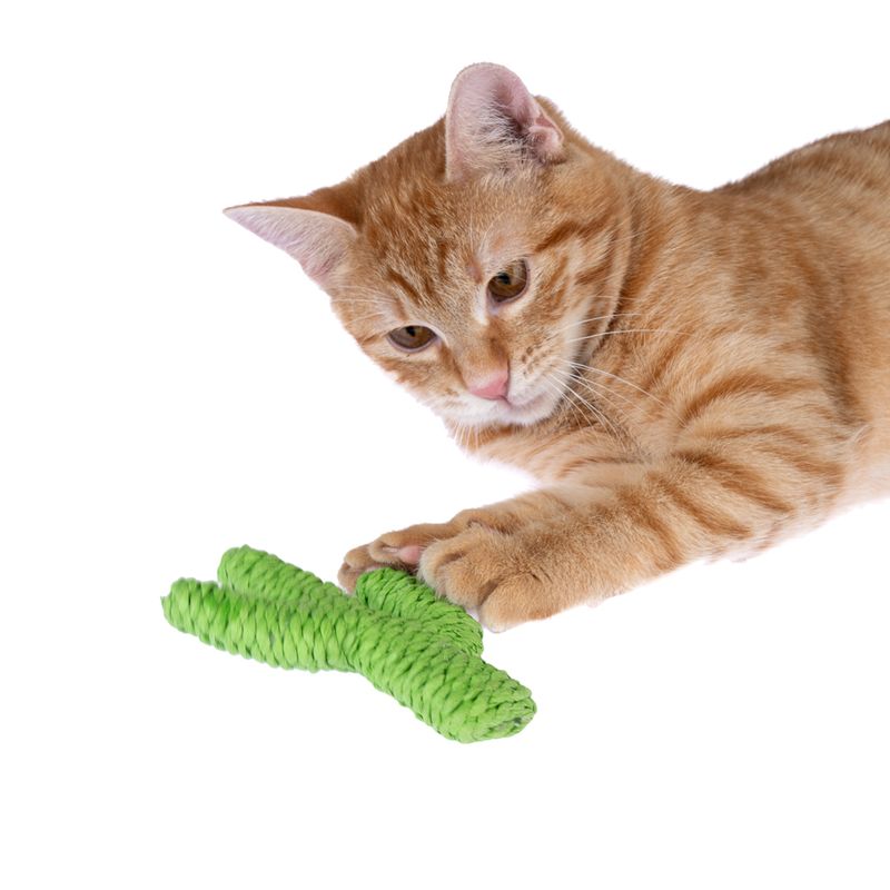 TIAKI Nature Paper Cactus 1 Toy