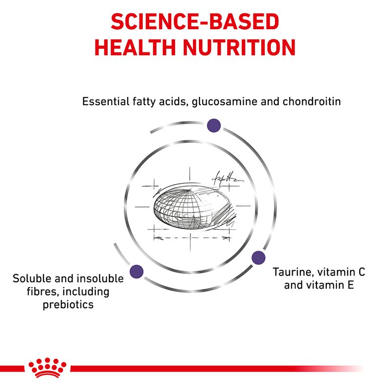 Royal Canin Expert Canine - Adult Large Dog 13kg