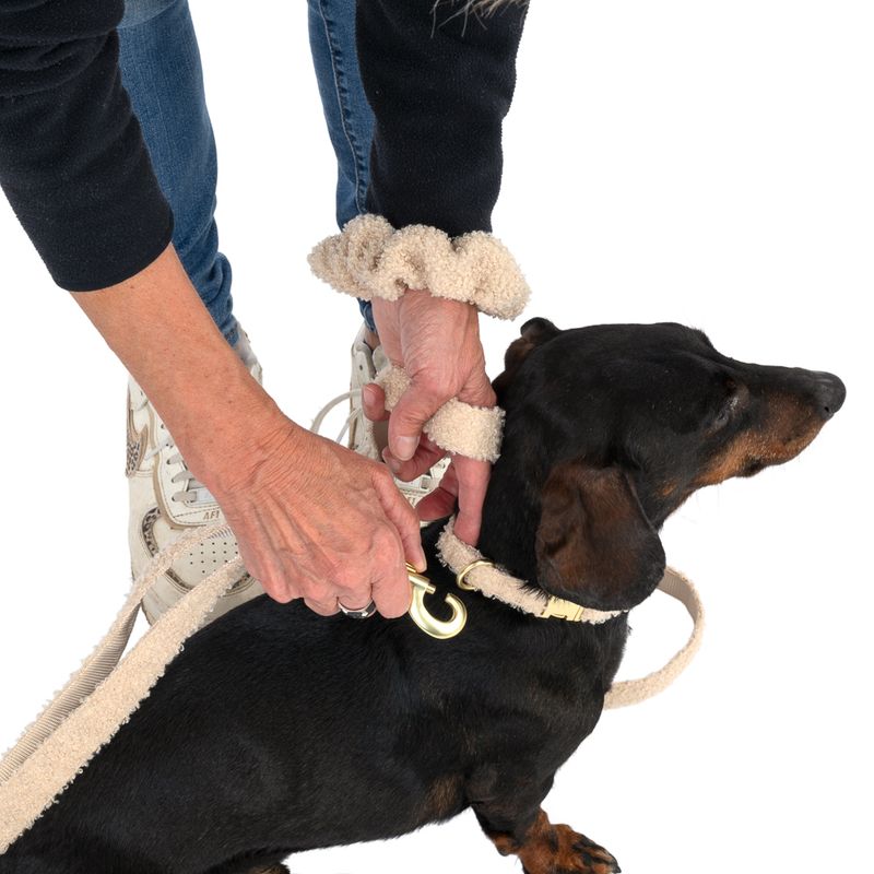 TIAKI Sherpa Collar, Lead & Scrunchie Large Size Collar: 42-66cm (Neck Circumference)