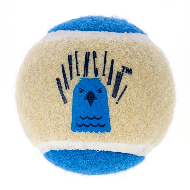 Harry Potter Hogwarts Tennis Ball Set 4 Balls (diameter 6.3cm each)