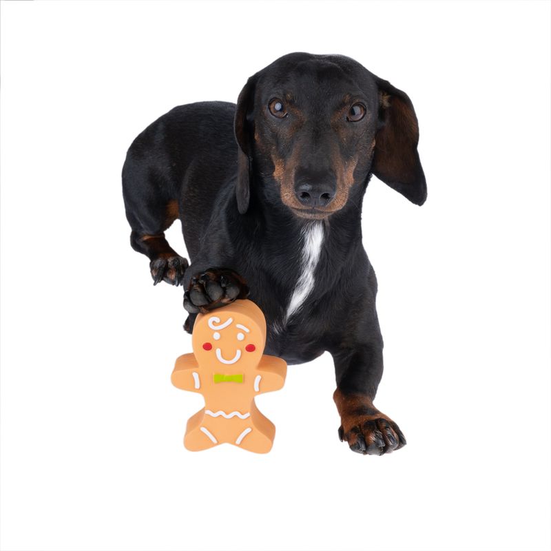 TIAKI Gingerbread Dog Toy 1 Toy