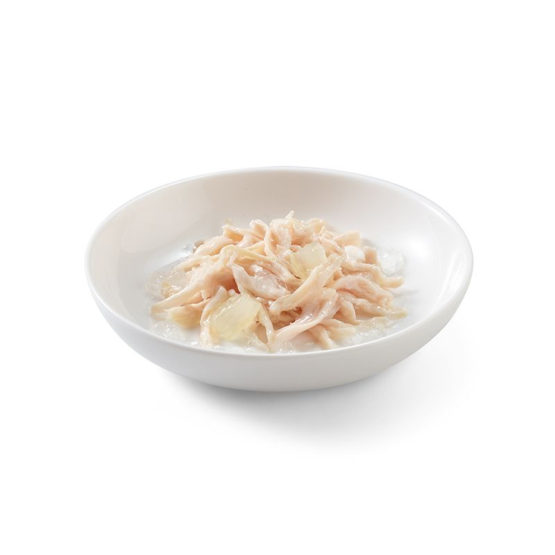 Schesir Kitten in Jelly Chicken with aloe 6 x 85 g