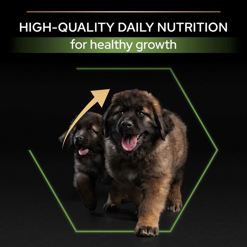 PURINA PRO PLAN Large Robust Puppy Healthy Start 3kg