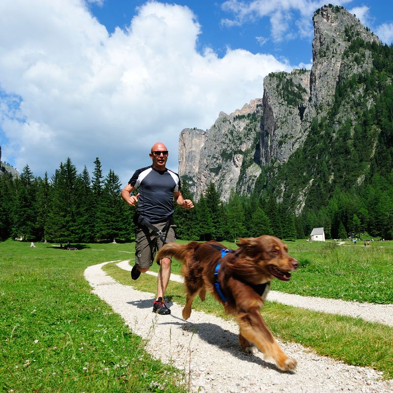 NEEWA Canicross Jogging Belt Hip size: 60 – 110cm