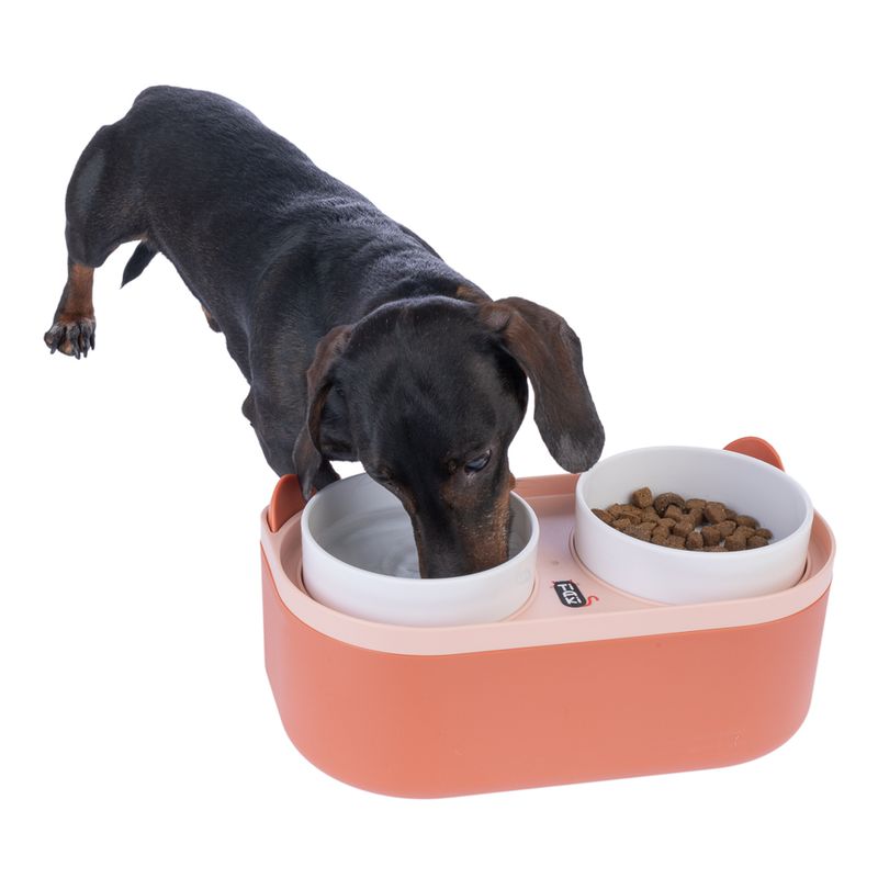 TIAKI Double Bowl with Food Container 2 x 420ml