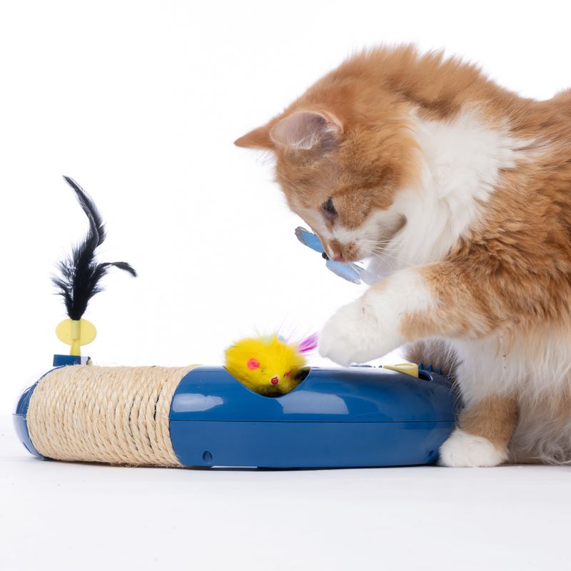 TIAKI Interactive Circuit Cat Toy 1 Toy