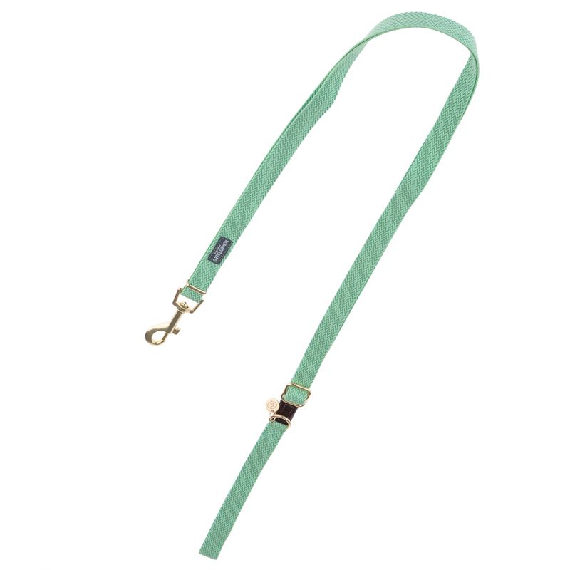Nomad Tales Bloom Leash, mint 200 cm long, 20 mm wide