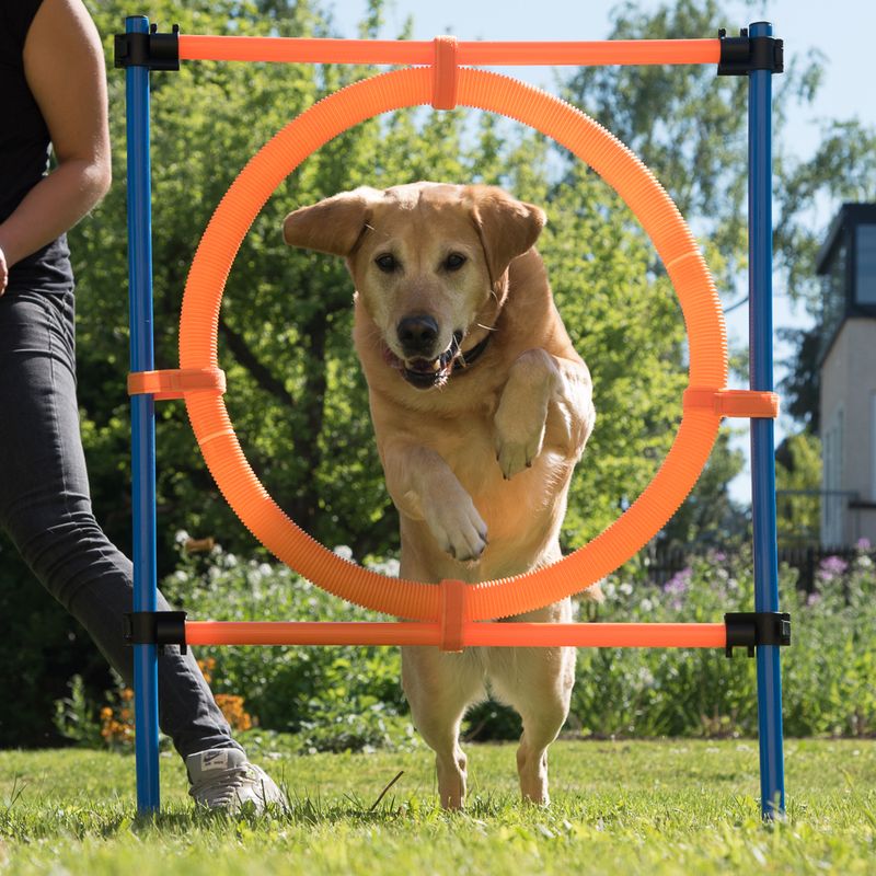 Agility Fun & Sport Jumping Hoop complete set: jumping hoop, diameter 55 cm