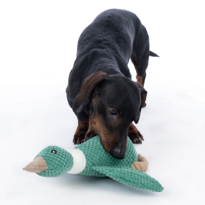 TIAKI Duck with Rope Dog Toy 35 x 32.5 x 8 cm (L x W x H)
