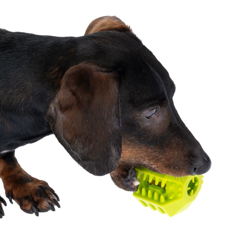 zooplus Basics TPR Snack Ball Set diameter 7cm