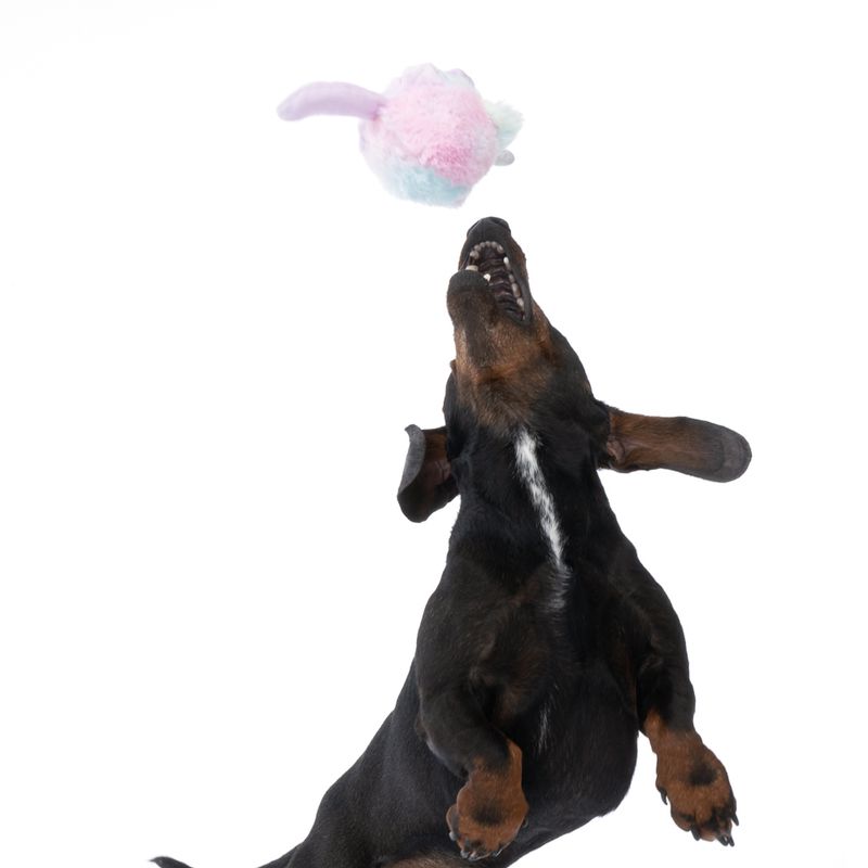 TIAKI Unicorn Kitten Stretch Ball diameter 18cm