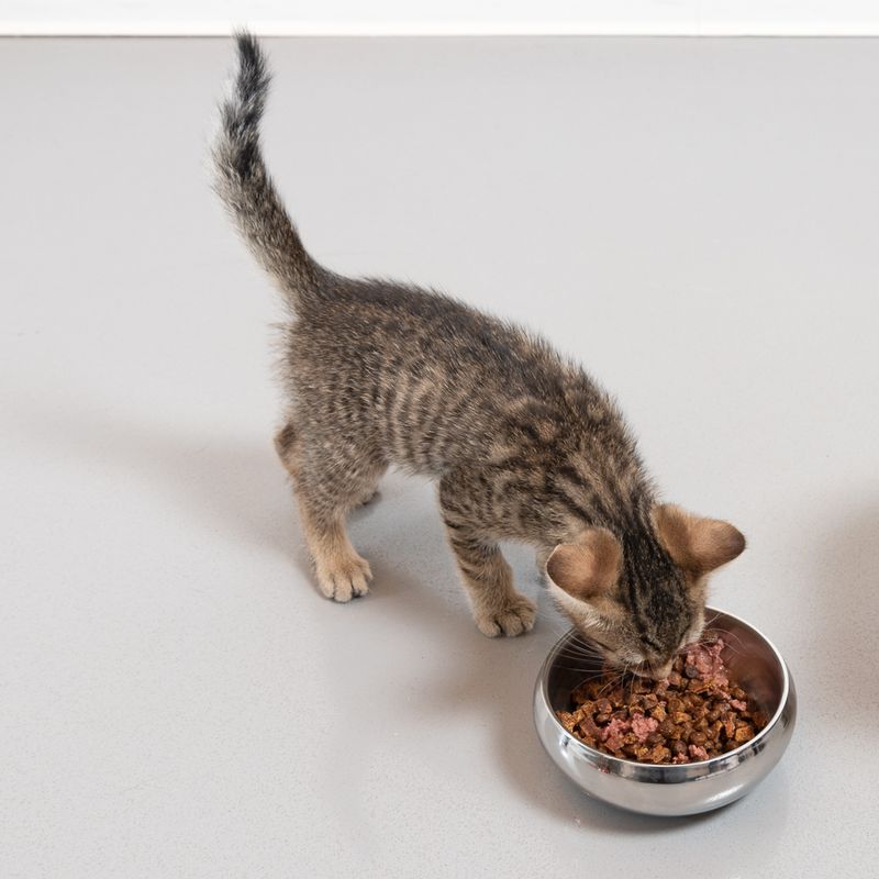 Modern Living Lhasa Double-walled Premium Bowl 1.2 Litres (diameter 19.3cm)