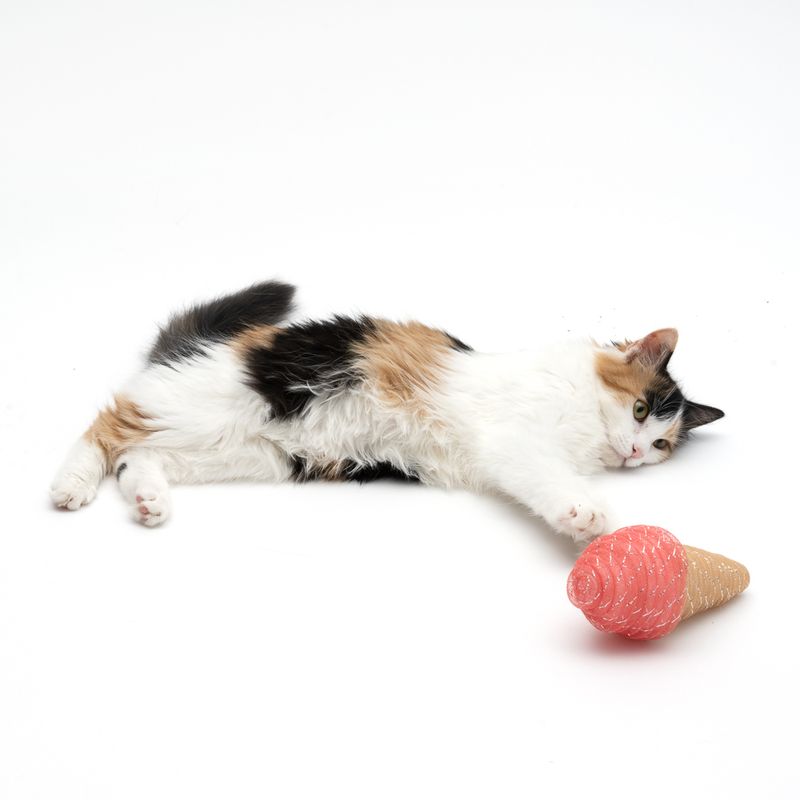 TIAKI Ice Cream Cat Toy 1 Toy