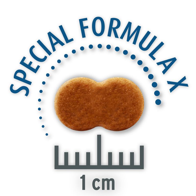 Concept for Life Economy Packs Sterilised Cats - Salmon (2 x 10 kg)