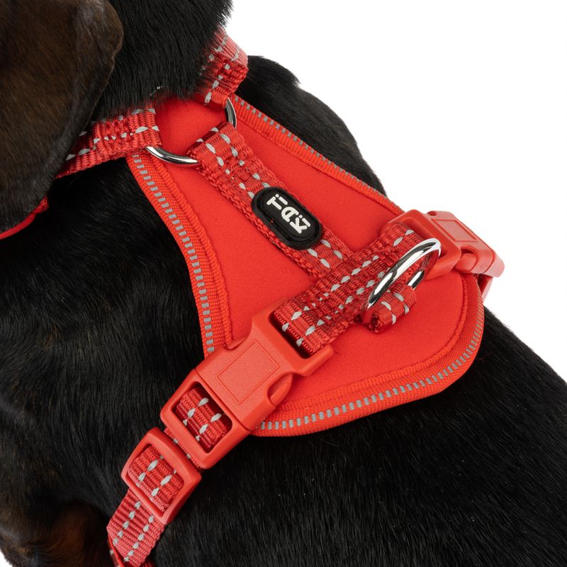 TIAKI Harness Neoprene - Red Size S: 32 - 56 cm chest circumference