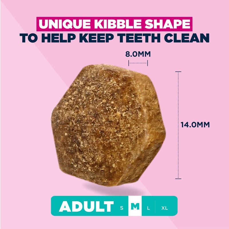 Eukanuba Premium Nutrition Adult Medium Breed Chicken 3kg