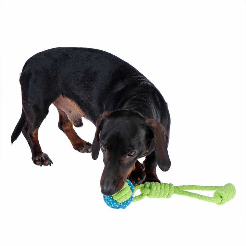 Dog toy Limoen rope & ball approx. diameter 6 x L 32 cm