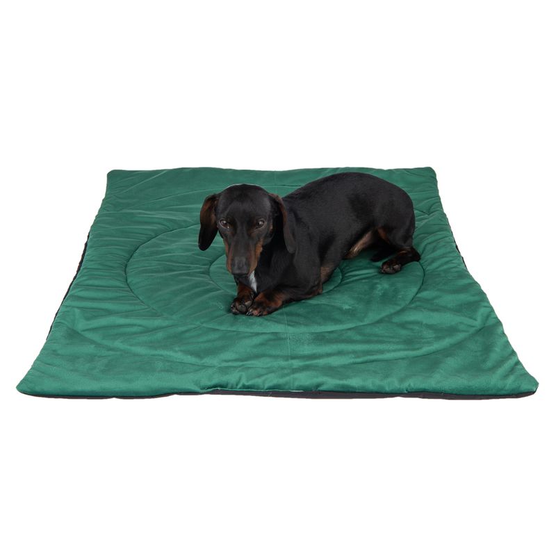 Compass Travel Dog Mat 100 x 70 x 3 cm (L x W x H)
